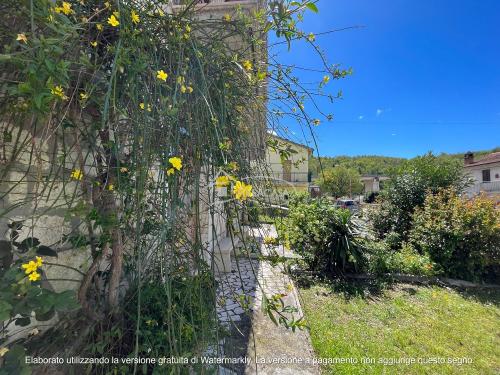 Casa singola in vendita a Acquasanta Terme
