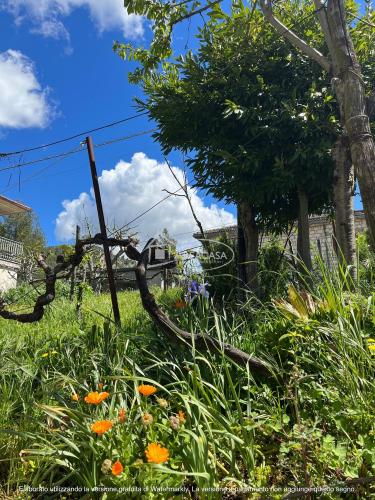 Casa singola in vendita a Acquasanta Terme