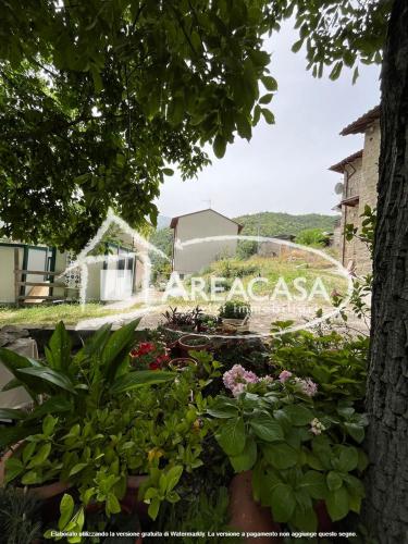 Casa singola in vendita a Acquasanta Terme