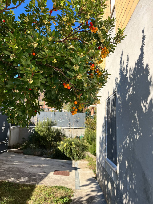 Casa singola in vendita a Venarotta