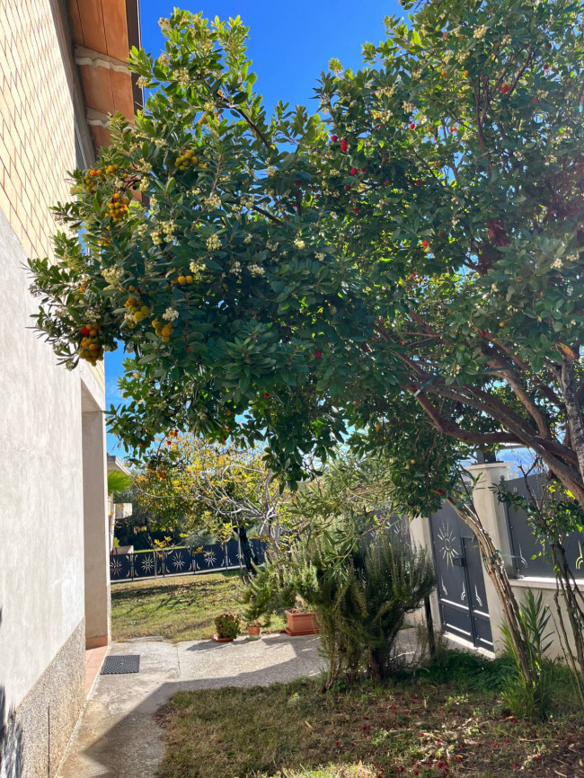 Casa singola in vendita a Venarotta