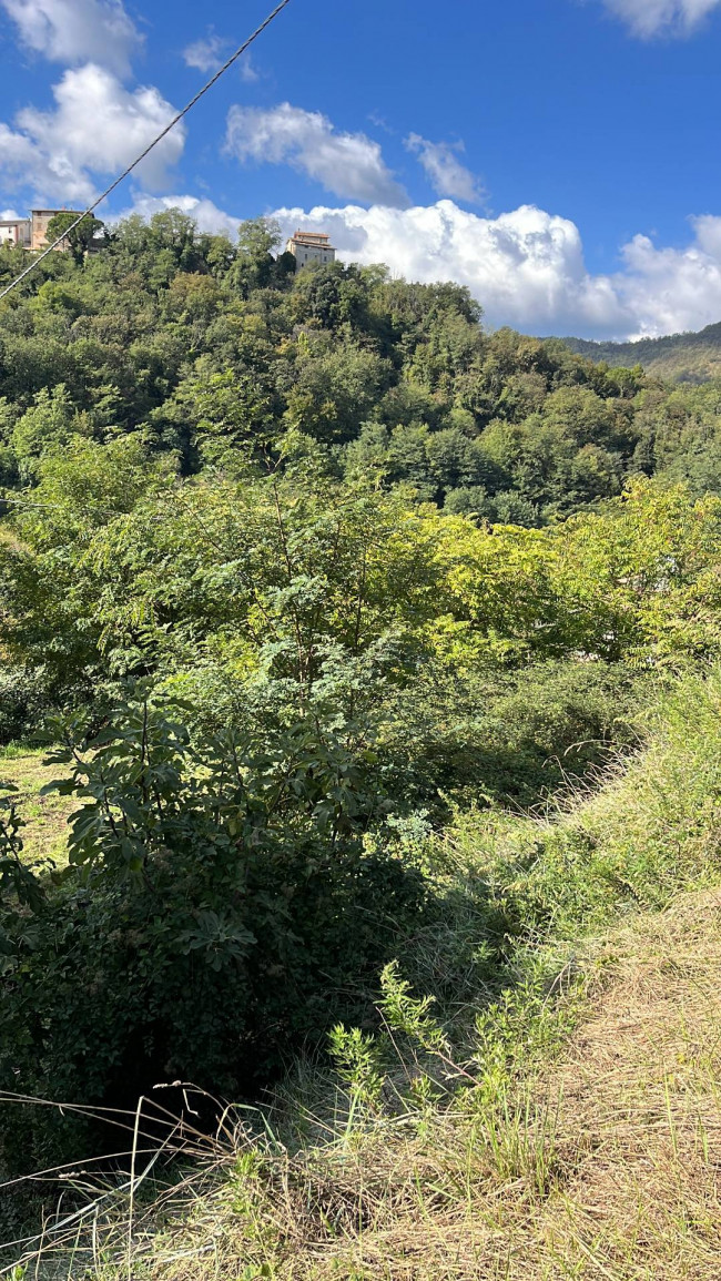 Terreno edificabile in vendita a Venarotta