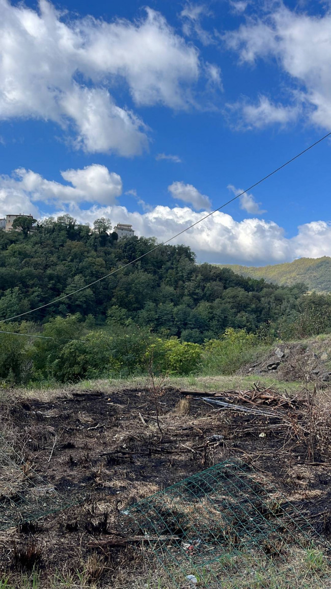 Terreno edificabile in vendita a Venarotta