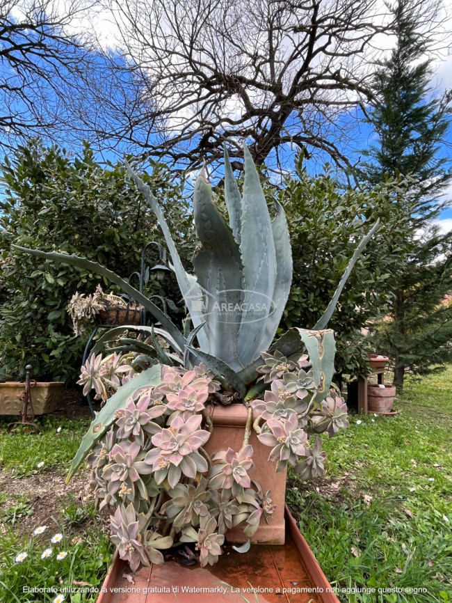 Casa singola in vendita a Acquasanta Terme