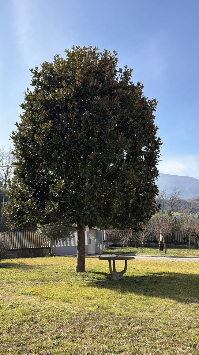 Casa singola in vendita a Folignano