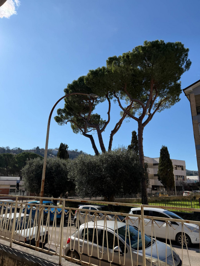 Appartamento in vendita a Ascoli Piceno