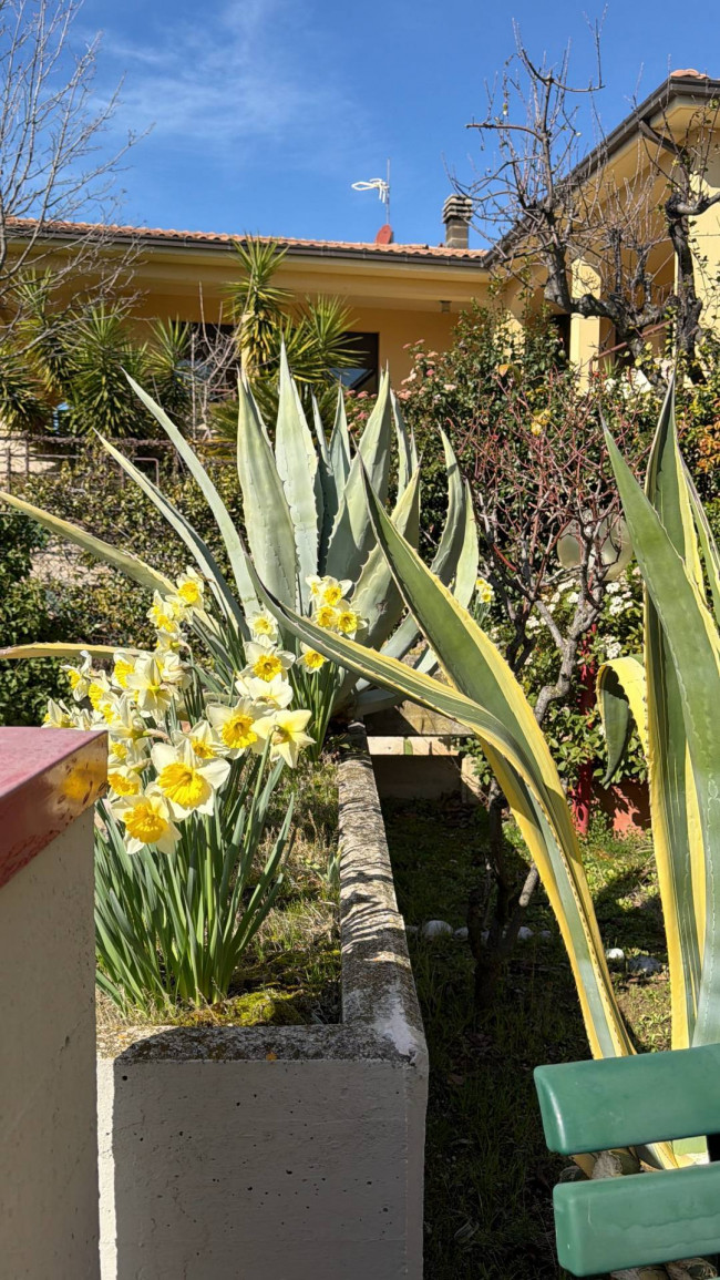 Appartamento in vendita a Ascoli Piceno