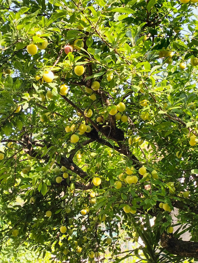Appartamento in vendita a Ascoli Piceno