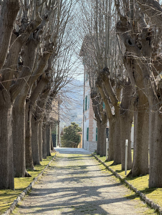 Appartamento in vendita a Ascoli Piceno