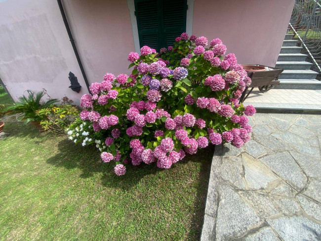 Appartamento in vendita a Varazze