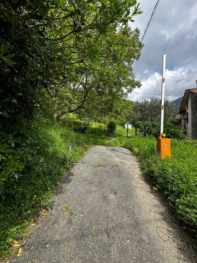 Casa singola in affitto a Varazze