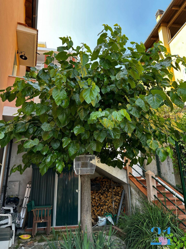 Appartamento in affitto a Varazze