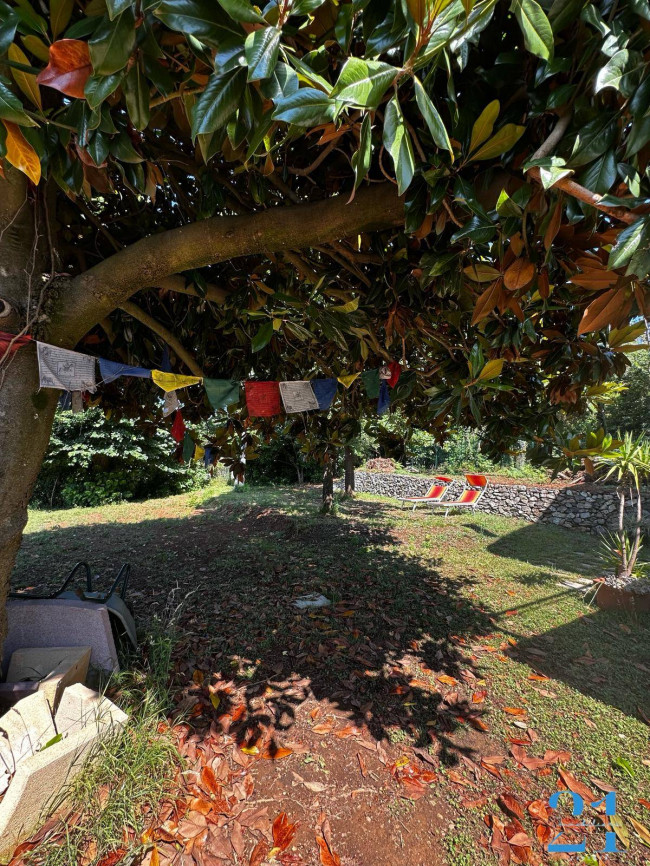 Villa in affitto a Celle Ligure