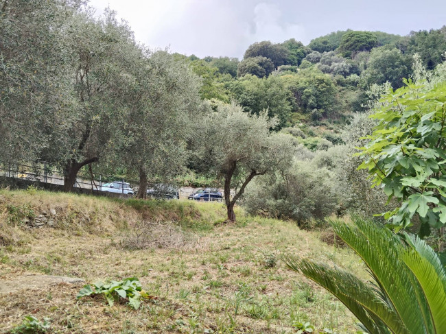 Appartamento in vendita a Varazze