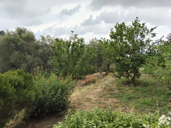 Appartamento in vendita a Varazze
