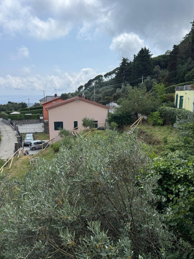 Appartamento in affitto a Varazze