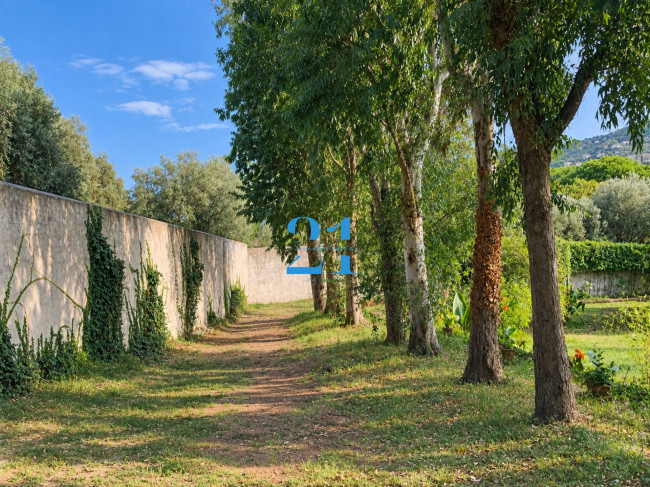 Villa in affitto a Spotorno