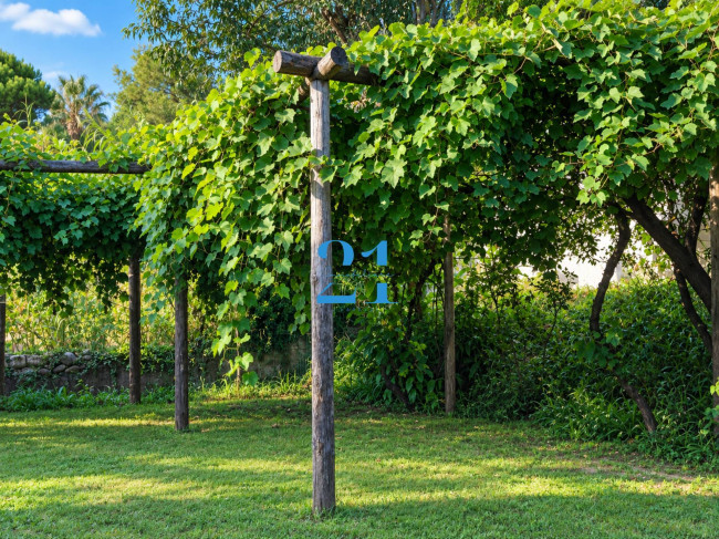 Villa in affitto a Spotorno