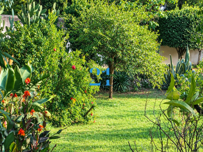 Villa in affitto a Spotorno
