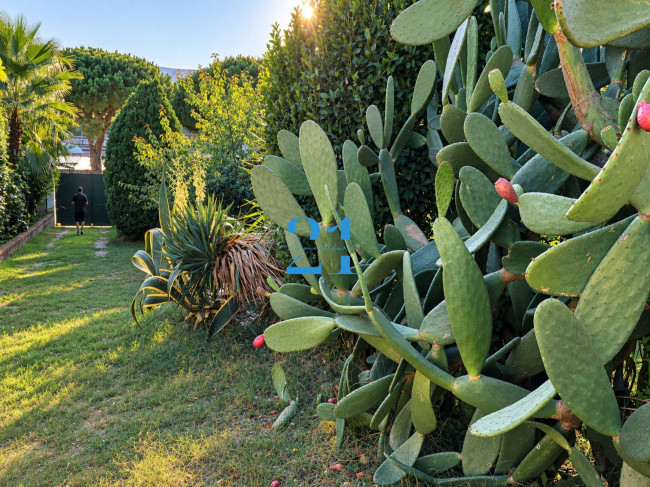 Villa in affitto a Spotorno