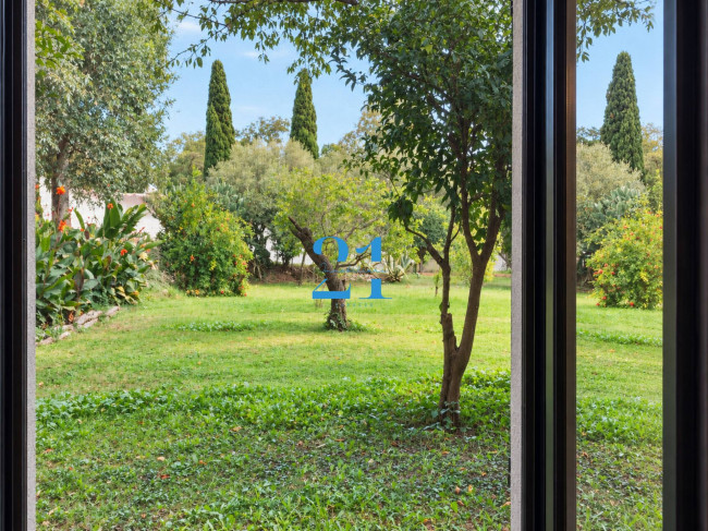 Villa in affitto a Spotorno