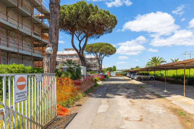 Appartamento in affitto a Anzio