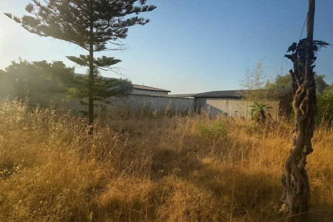 Casa singola in vendita a Nettuno