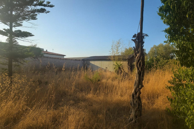 Appartamento in vendita a Nettuno