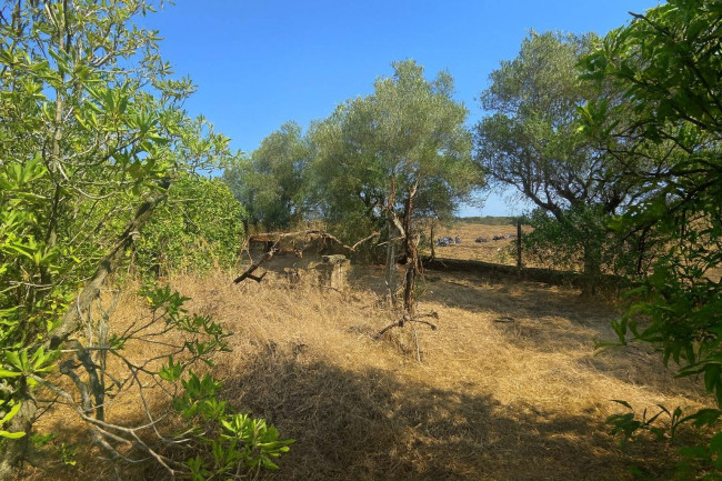 Appartamento in vendita a Nettuno