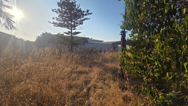 Villa in vendita a Nettuno