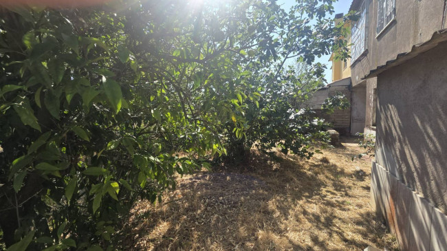 Casa singola in vendita a Nettuno