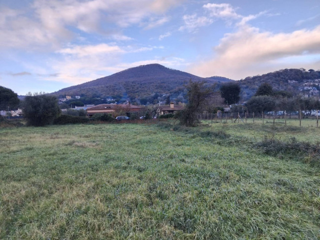 Terreno edificabile in affitto a Trevignano Romano