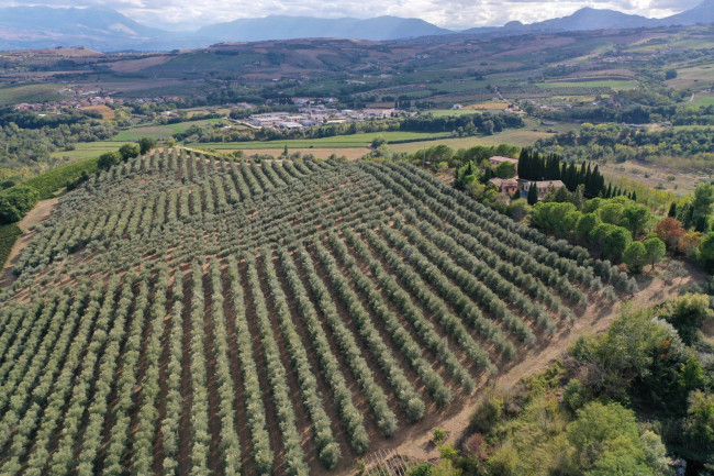  Agriturismo Loreto Aprutino