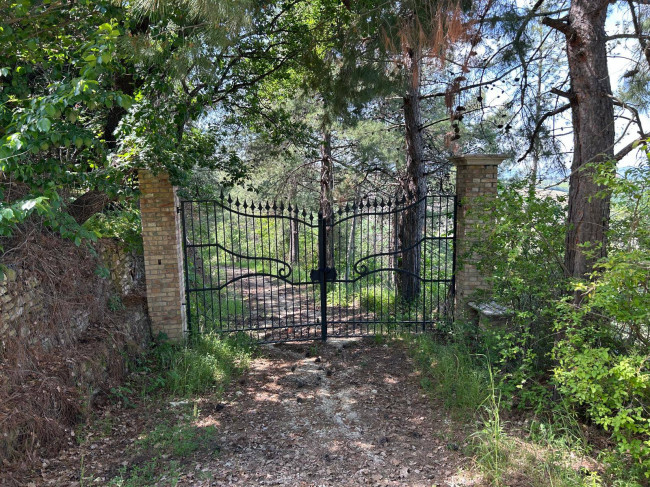  Terreno Agricolo Atri