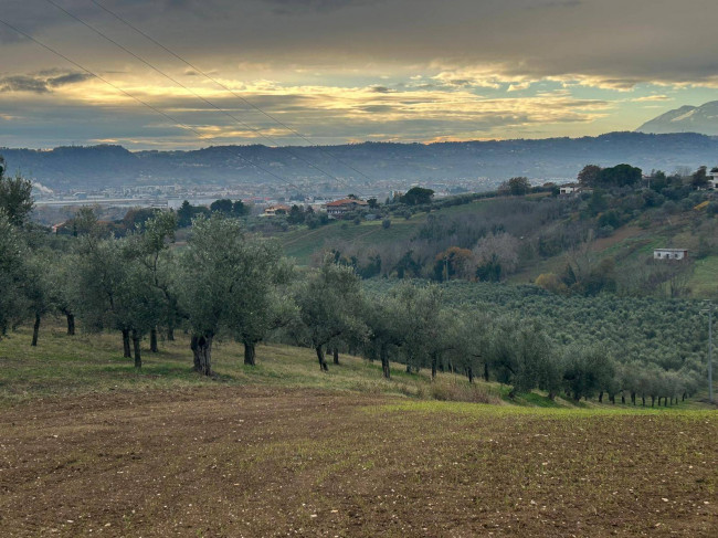  Terreno Agricolo Spoltore