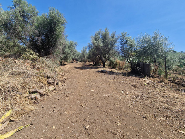 Terreno Agricolo in vendita a Belpasso