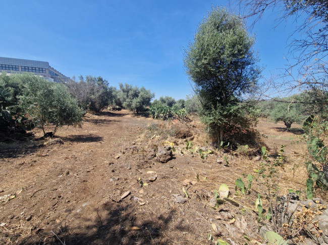 Terreno Agricolo in vendita a Belpasso