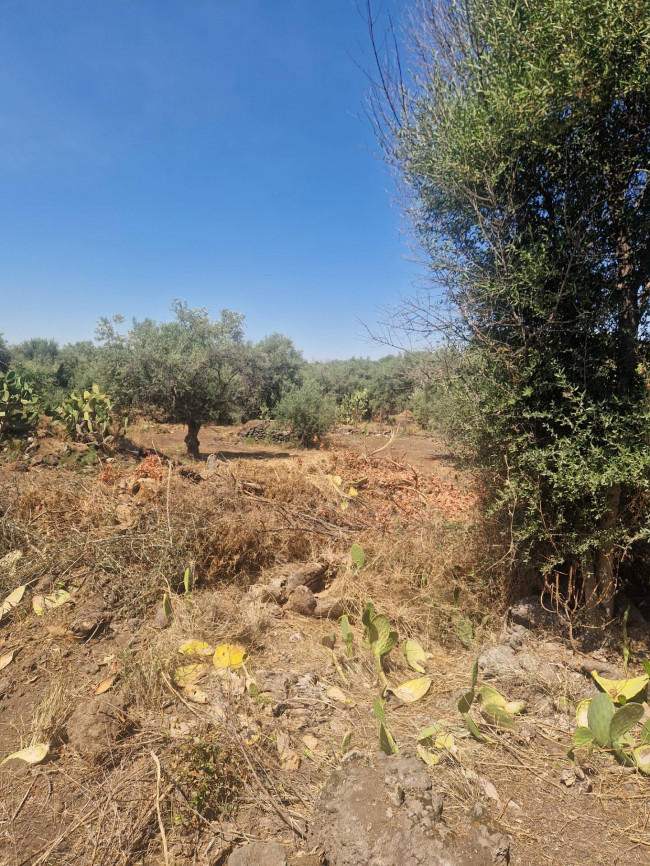 Terreno Agricolo in vendita a Belpasso