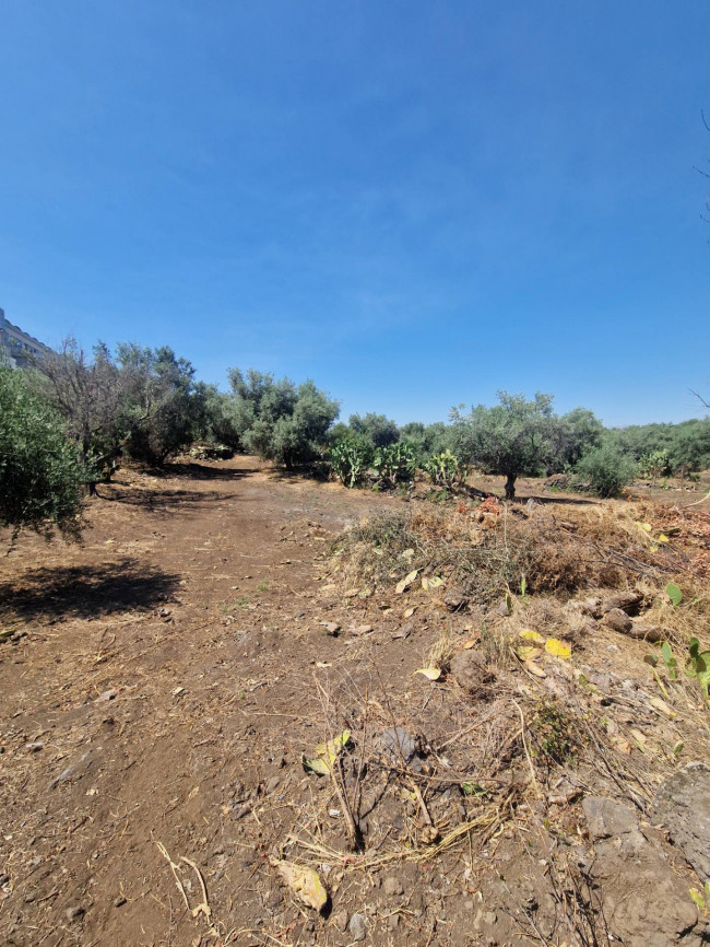 Terreno Agricolo in vendita a Belpasso