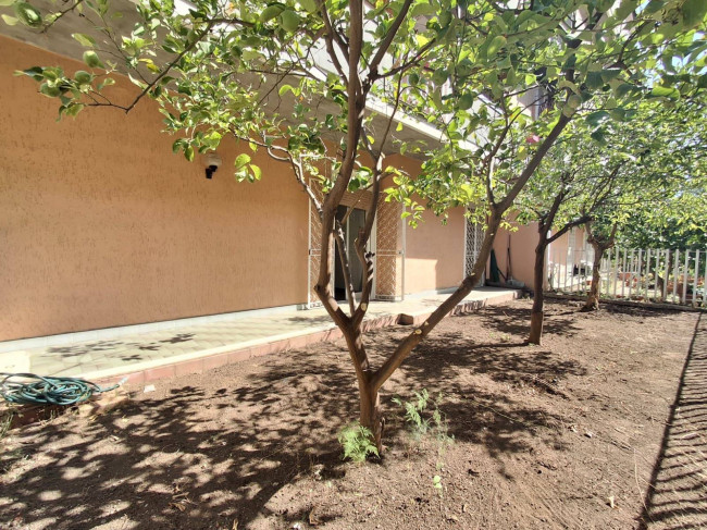 Appartamento con Giardino in vendita a Catania