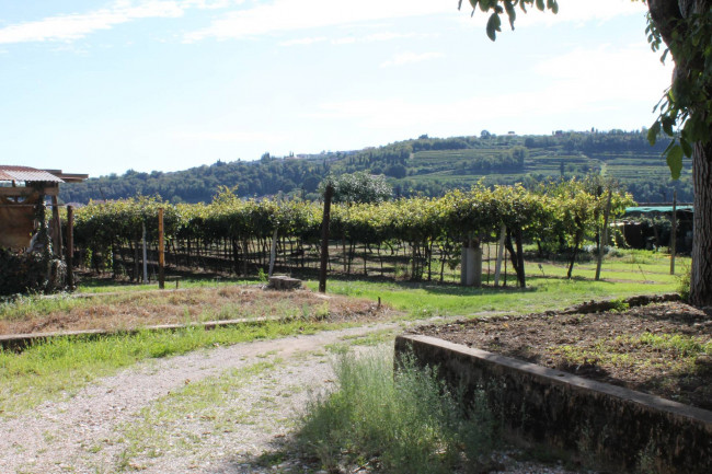 Rustico in vendita a Lavagno