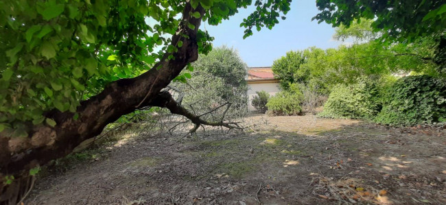 Casa singola in vendita a Ronco all'Adige