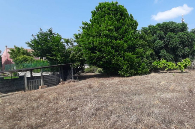 Casa singola in vendita a Ronco all'Adige