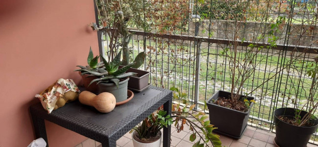 Appartamento in vendita a San Giovanni Lupatoto