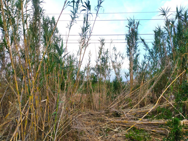 Terreno Industriale in vendita a Manoppello