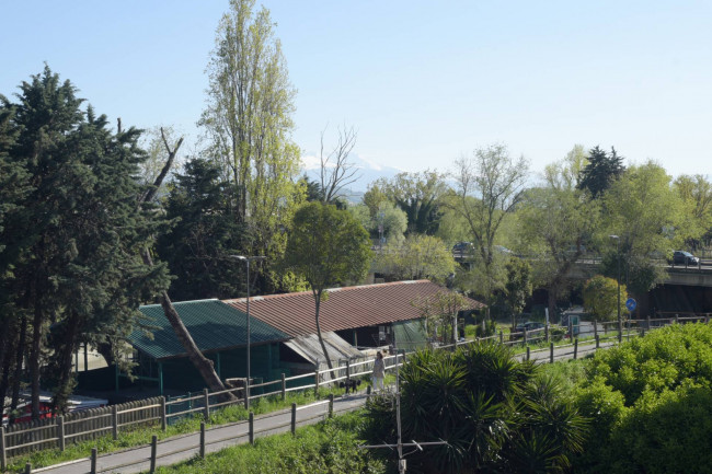 Appartamento in vendita a Pescara