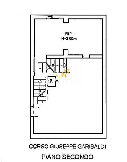 Foto2