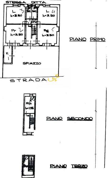 Foto1