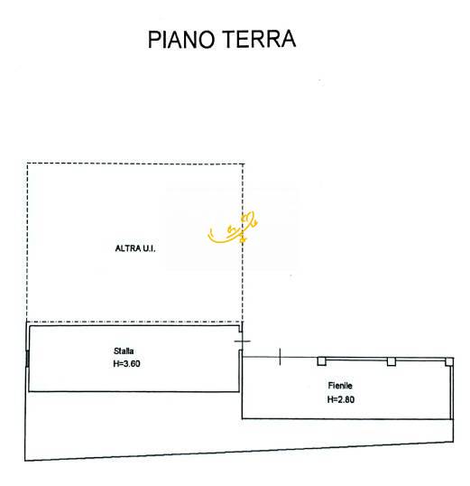 Foto3