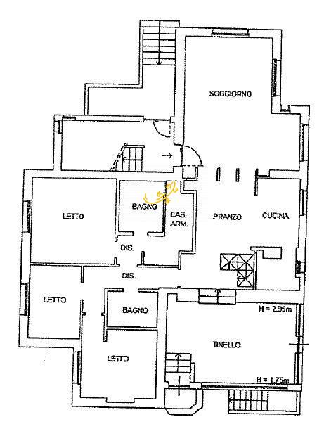 Foto1